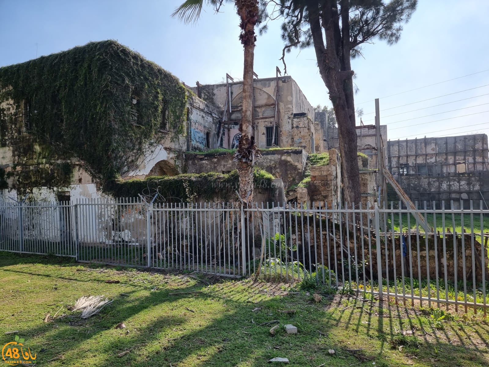 WhatsApp Image 2022-01-08 at 1.30.03 PM.jpg